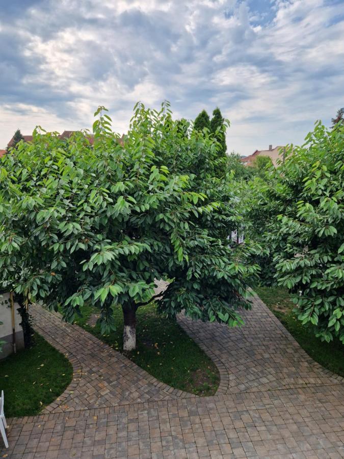 大西洋酒店 Târgu-Mureş 外观 照片